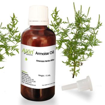 Armoise Oil