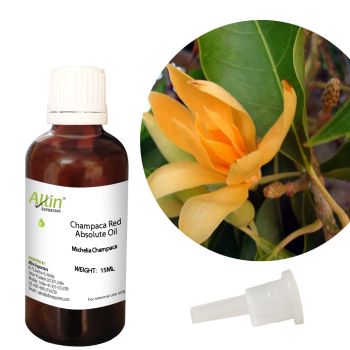 Champaca Red Absolute Oil