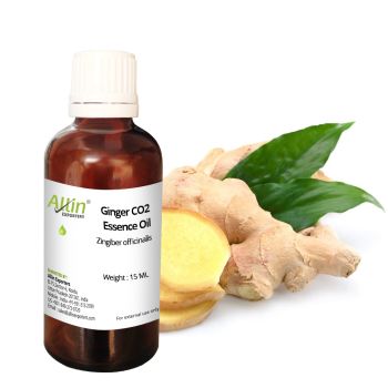 Ginger CO2 Essence Oil