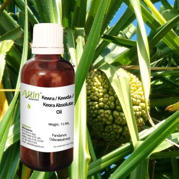 Kewra / Kewda / Keora Absolute Oil