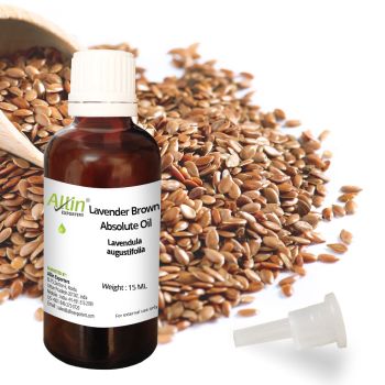 Lavender Brown Absolute Oil