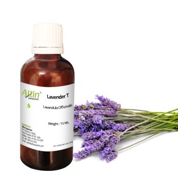 Lavender T