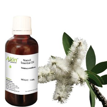 Niaouli Essential Oil