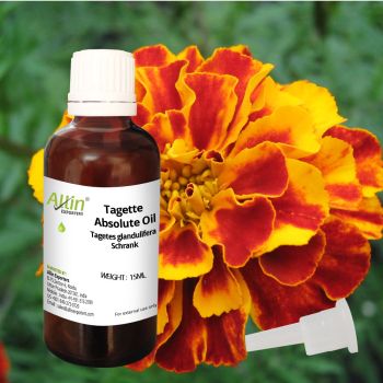 Tagette Absolute Oil